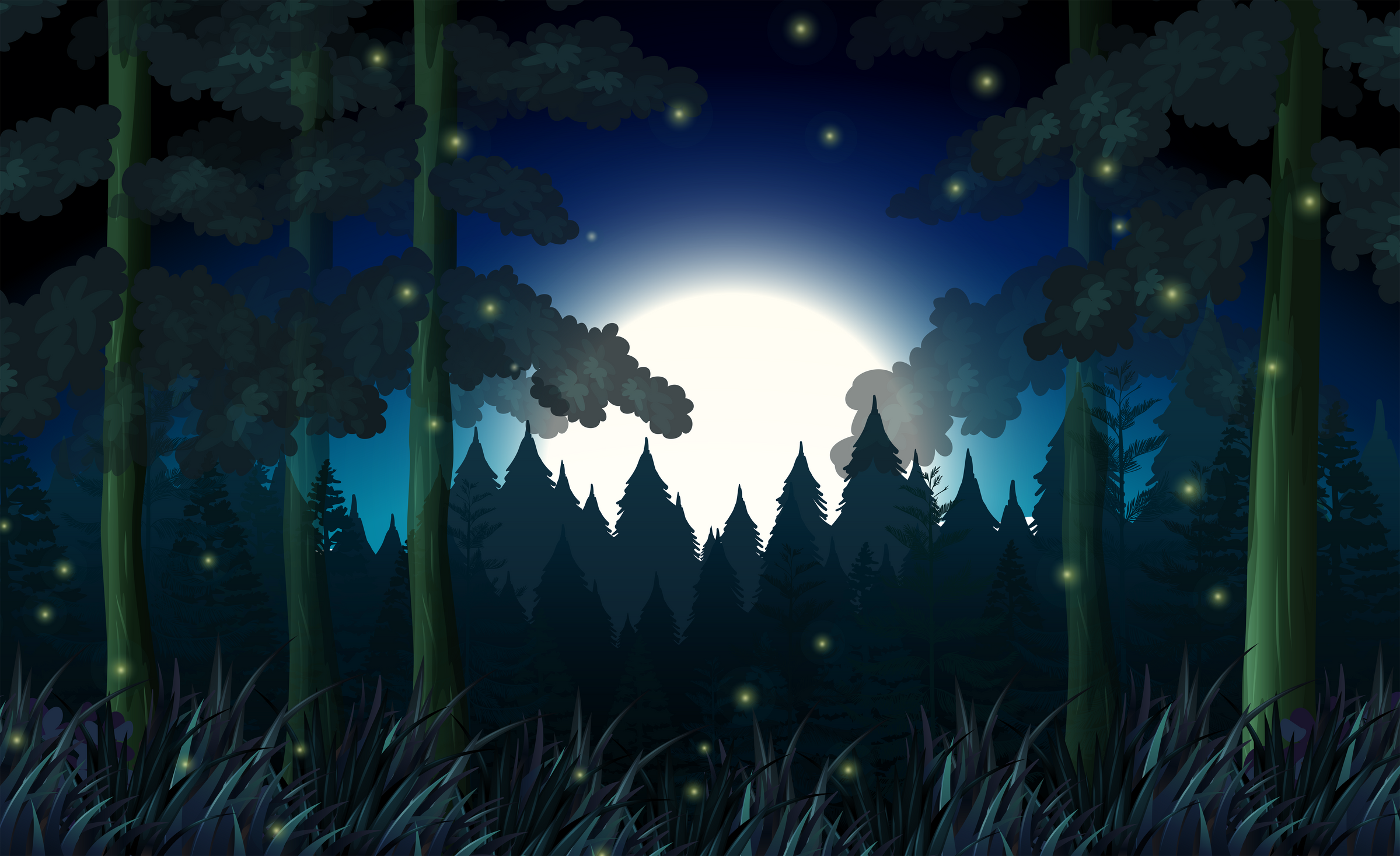 A forest in dark night