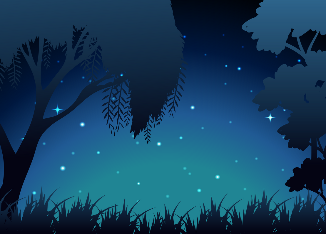 Forest at Night Background